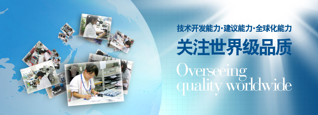 技術(shù)開發(fā)能力?建議能力?全球化能力 關(guān)注世界級(jí)品質(zhì) Overseeing quality worldwide